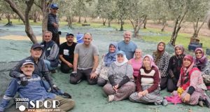 Zeytinin Gölgesinde Bir Aile, Bir Emek Masalı